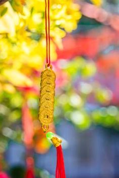  Vương quốc người chơi 